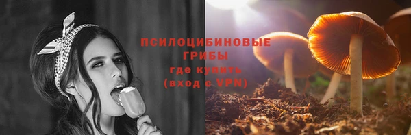бошки Алзамай