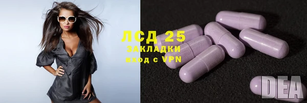 прущие грибы Алексеевка