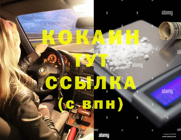 бошки Алзамай